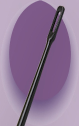 Click for Larger Image